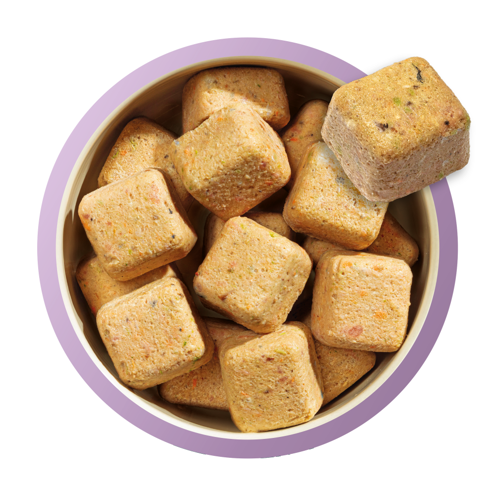 80% Turkey and Fish Nuggets for Puppies image number 2