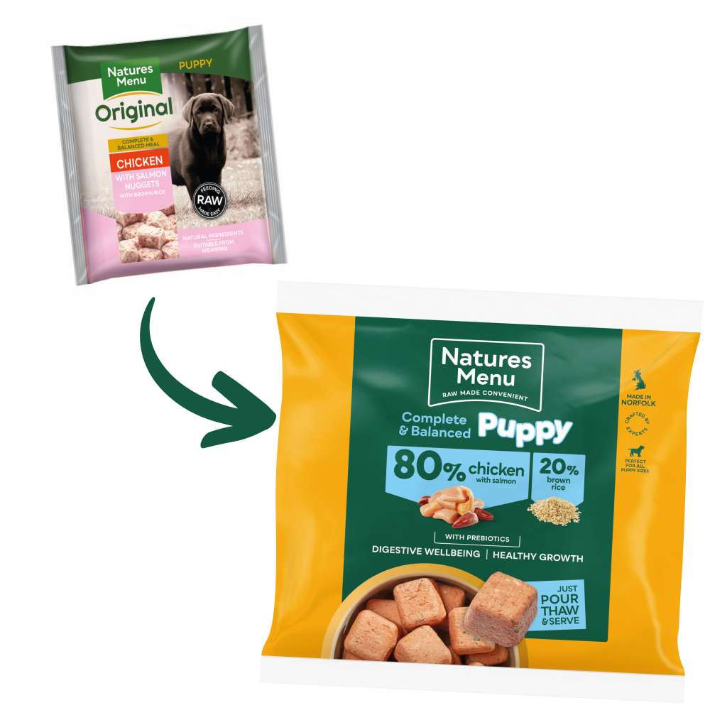 80% Chicken and Salmon for Puppies image number 3