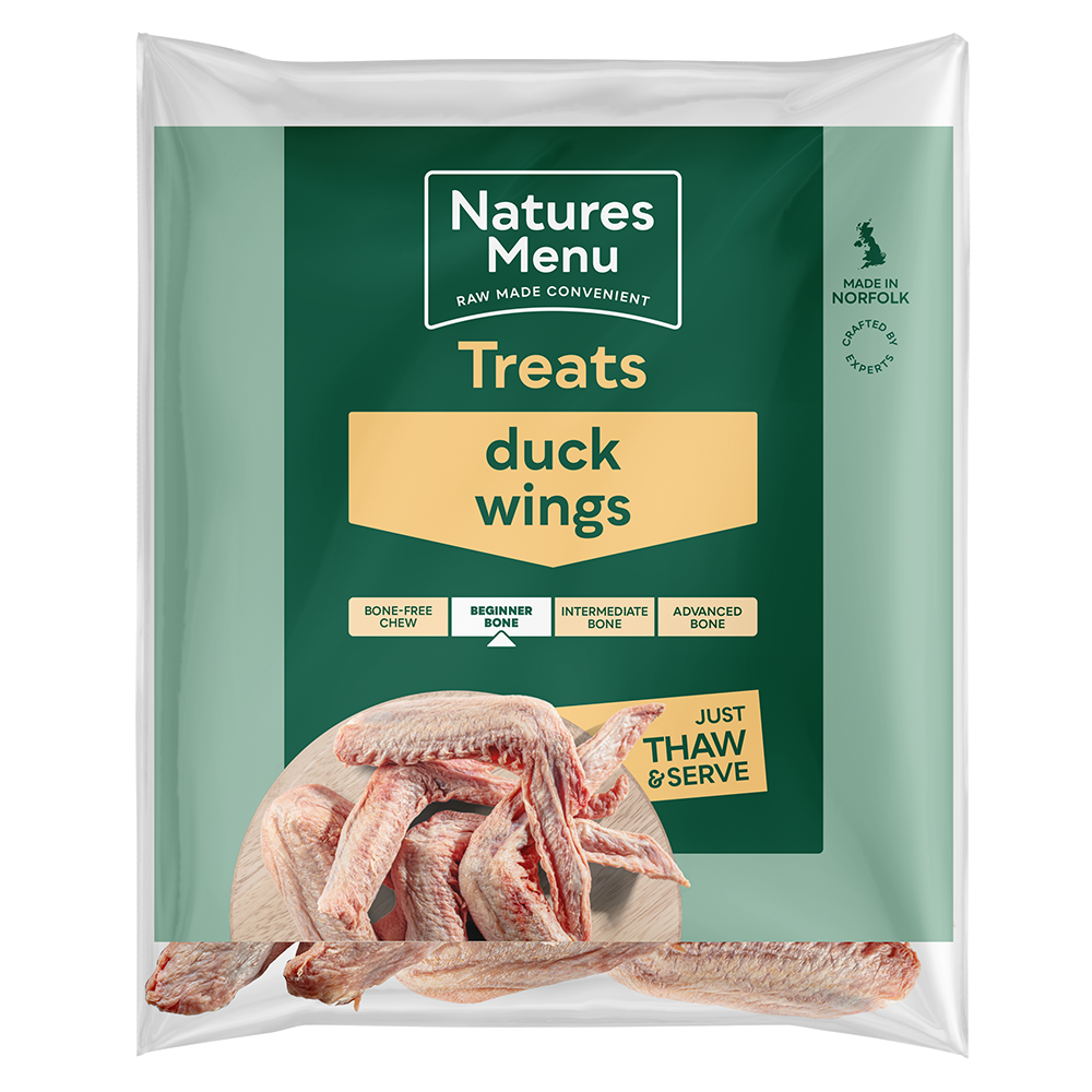 Duck Wings