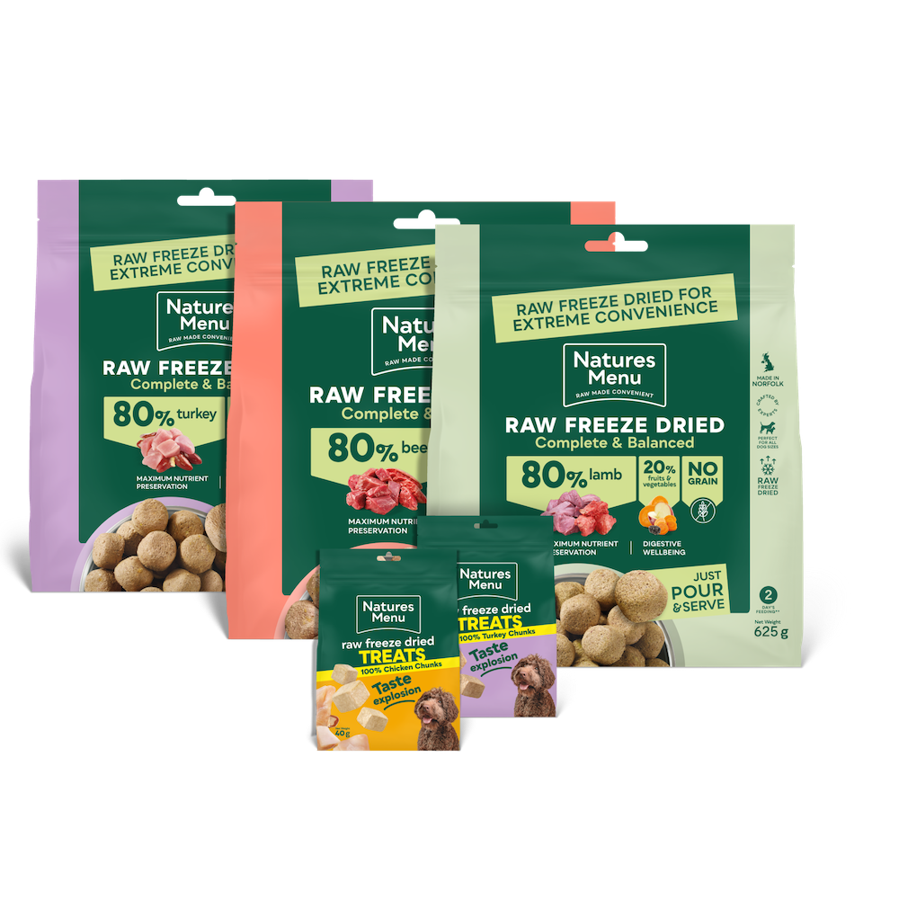 Freeze-Dried Big Flavour Bundle for Large Dogs
