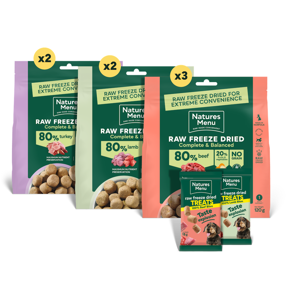 Freeze-Dried Big Flavour Bundle for Small Dogs