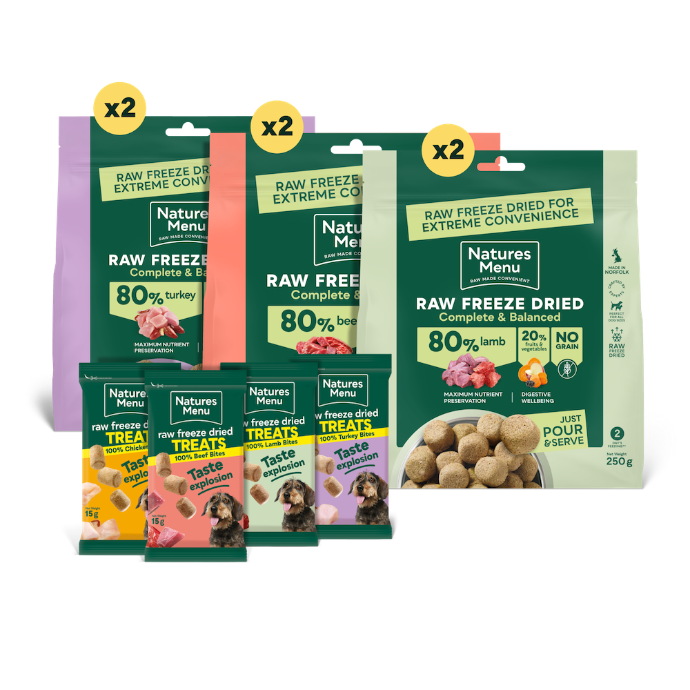 Freeze-Dried Big Flavour Bundle for Medium Dogs