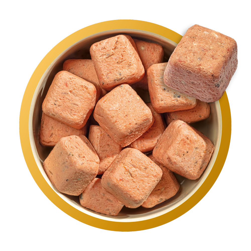 80% Chicken and Salmon for Puppies image number 2