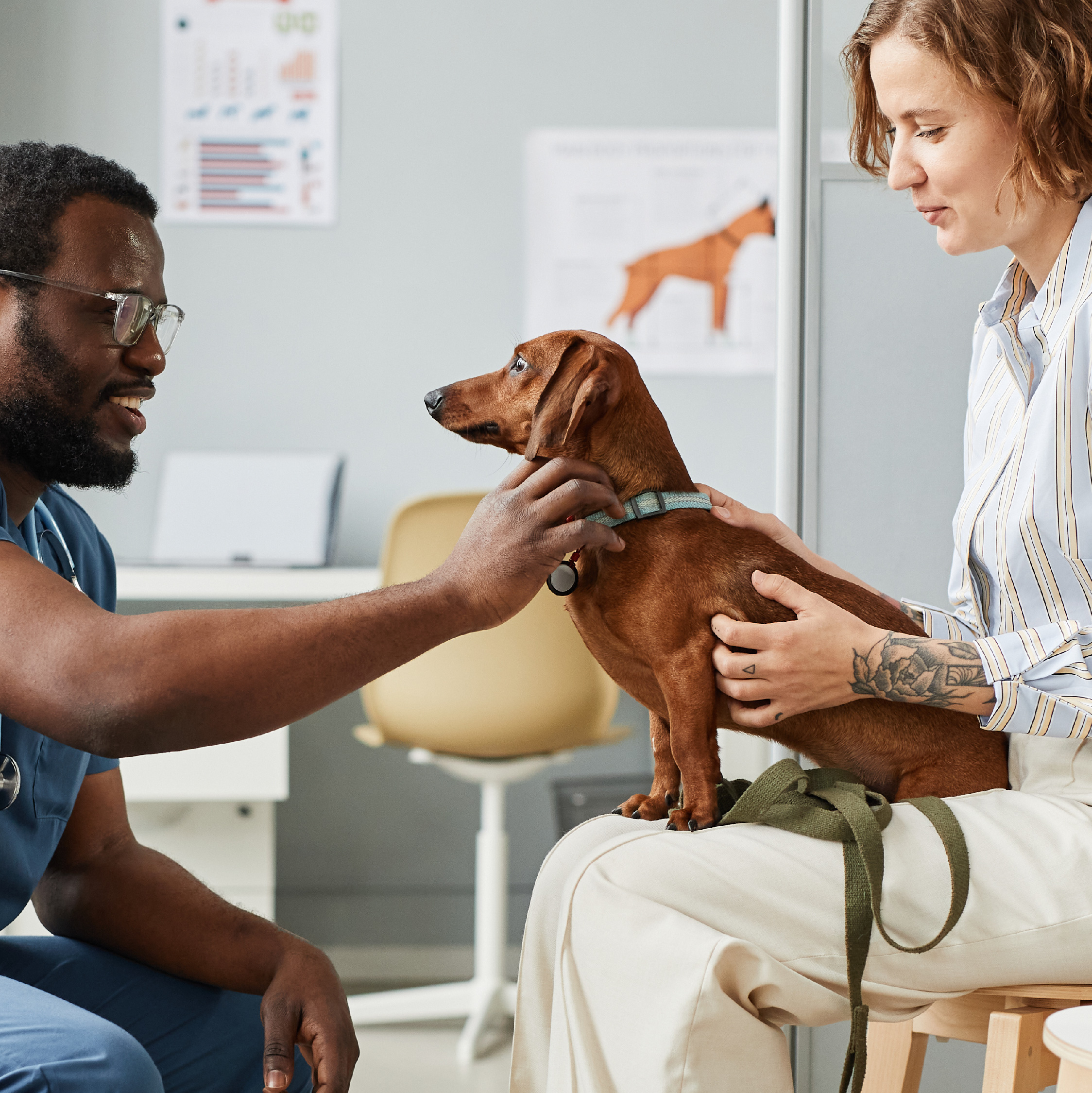 visiting the vets